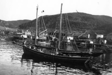 005: Bernard Mulrooney's schooner, the "Patrick and Ellen". [courtesy of Jerome Lambe]
